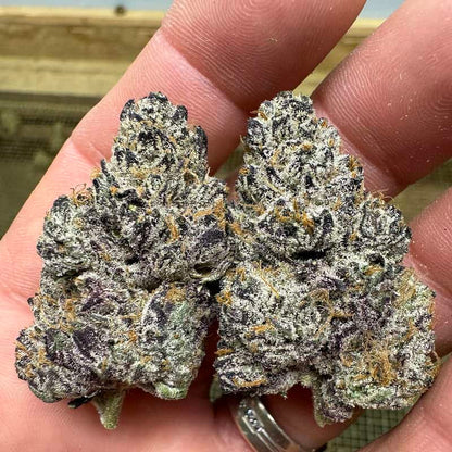 Black Truffle - THCa Flower