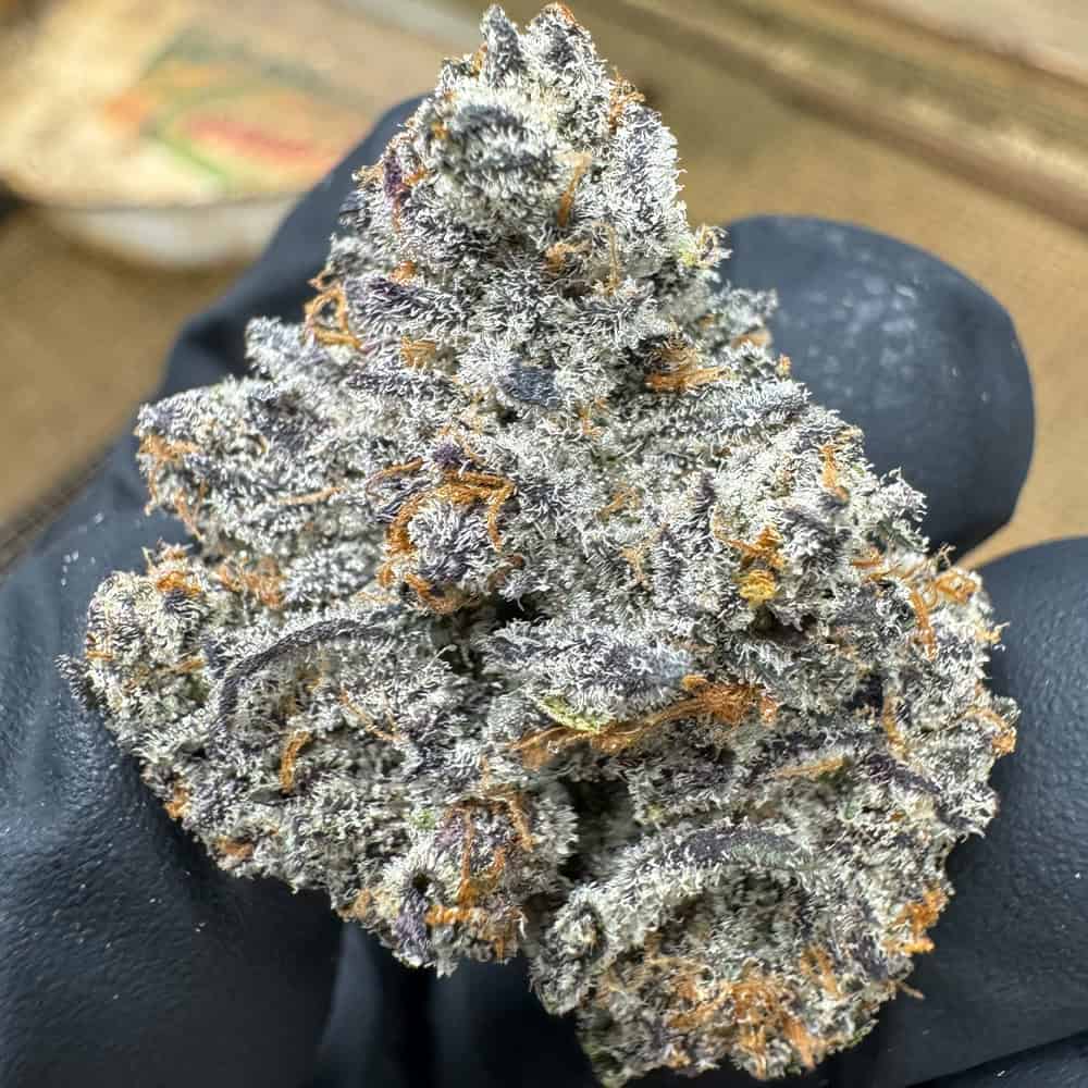 Dantes Inferno - THCa Flower
