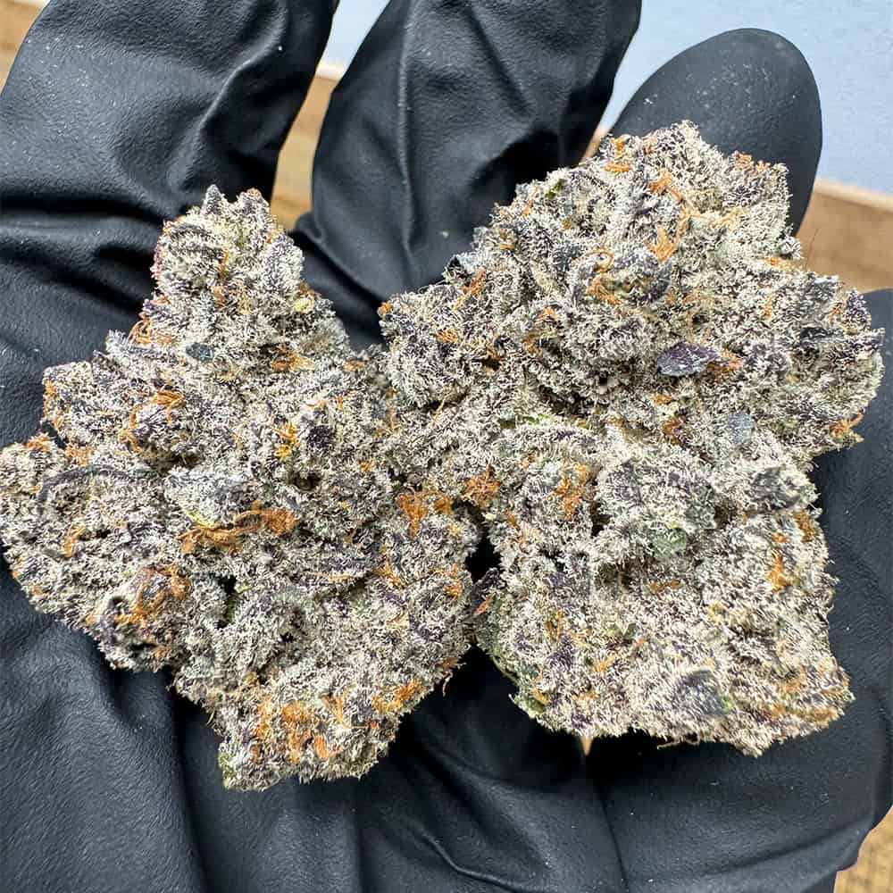 Dantes Inferno - THCa Flower